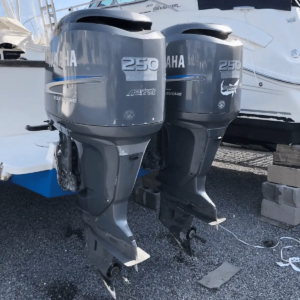 Yamaha 250 hp online